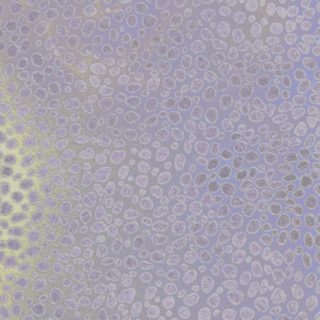 pattern Purple iPhone5s / iPhone5c / iPhone5 Wallpaper