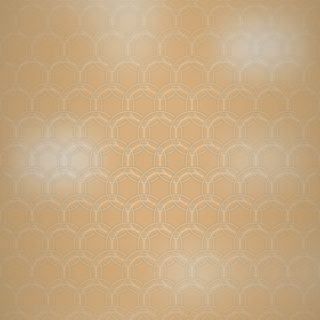 Round gradation pattern orange iPhone5s / iPhone5c / iPhone5 Wallpaper
