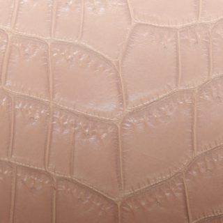 Leaf vein gradation Brown iPhone5s / iPhone5c / iPhone5 Wallpaper