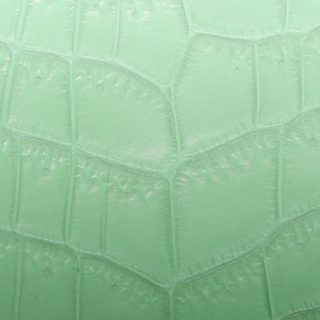 Leaf vein gradation Green iPhone5s / iPhone5c / iPhone5 Wallpaper