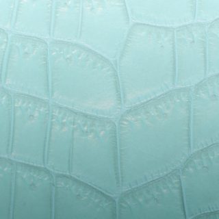 Leaf vein gradation light blue iPhone5s / iPhone5c / iPhone5 Wallpaper