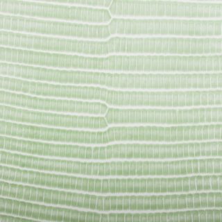 Leaf vein gradation Yellow green iPhone5s / iPhone5c / iPhone5 Wallpaper