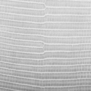 Leaf vein gradation Gray iPhone5s / iPhone5c / iPhone5 Wallpaper