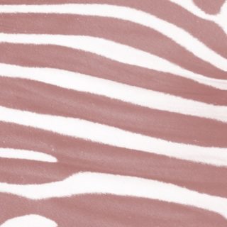 Zebra pattern orange iPhone5s / iPhone5c / iPhone5 Wallpaper
