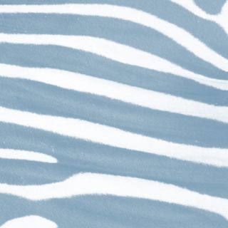 Zebra pattern Blue iPhone5s / iPhone5c / iPhone5 Wallpaper