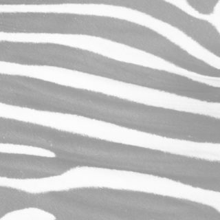 Zebra pattern Gray iPhone5s / iPhone5c / iPhone5 Wallpaper