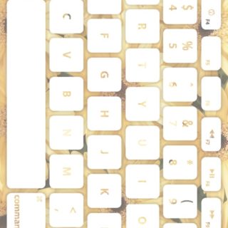 Flower keyboard Yellowish white iPhone5s / iPhone5c / iPhone5 Wallpaper
