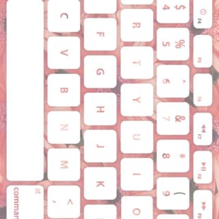 Flower keyboard Red white iPhone5s / iPhone5c / iPhone5 Wallpaper