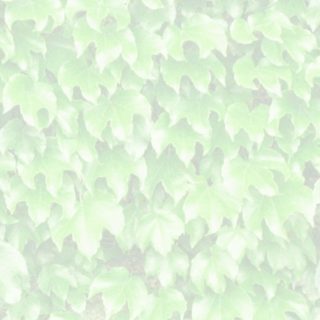 Leaf pattern Yellow green iPhone5s / iPhone5c / iPhone5 Wallpaper