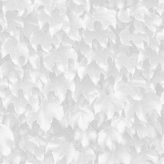 Leaf pattern Gray iPhone5s / iPhone5c / iPhone5 Wallpaper