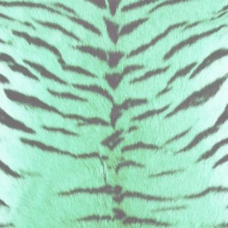 Fur pattern tiger Blue green iPhone5s / iPhone5c / iPhone5 Wallpaper