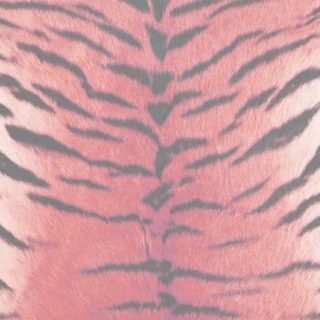 Fur pattern tiger Red iPhone5s / iPhone5c / iPhone5 Wallpaper