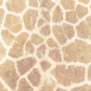 Fur pattern orange iPhone5s / iPhone5c / iPhone5 Wallpaper