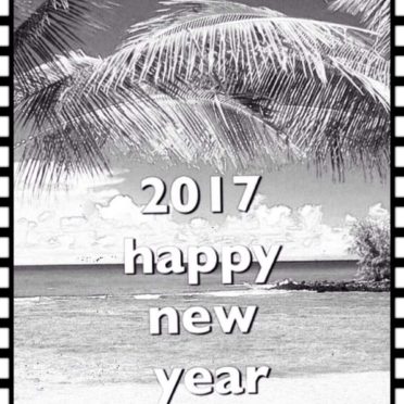 Tropical New Year iPhone6s / iPhone6 Wallpaper