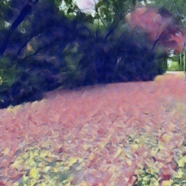 tree Flowers iPhone6s / iPhone6 Wallpaper