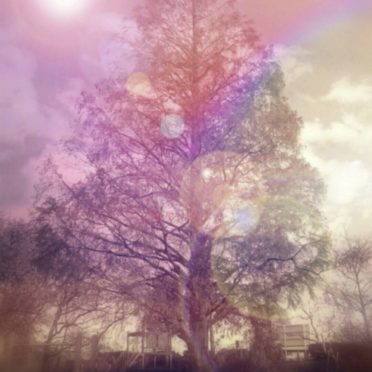 tree Landscape iPhone6s / iPhone6 Wallpaper