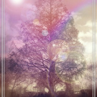 tree park iPhone6s / iPhone6 Wallpaper