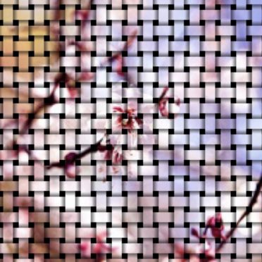 Cherry mesh iPhone6s / iPhone6 Wallpaper
