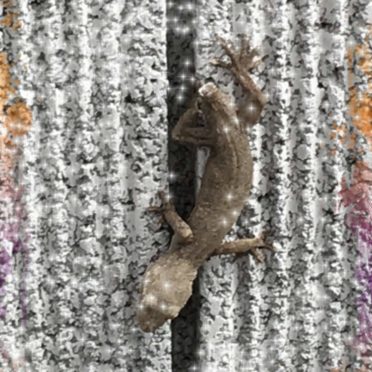 Lizard light iPhone6s / iPhone6 Wallpaper