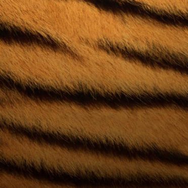 Pattern tiger iPhone6s / iPhone6 Wallpaper