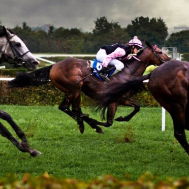 Animal horse race iPhone6s / iPhone6 Wallpaper