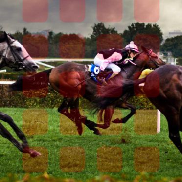 Landscape horse racing  red  shelf iPhone6s / iPhone6 Wallpaper
