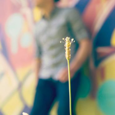 Flower blur male character iPhone6s / iPhone6 Wallpaper