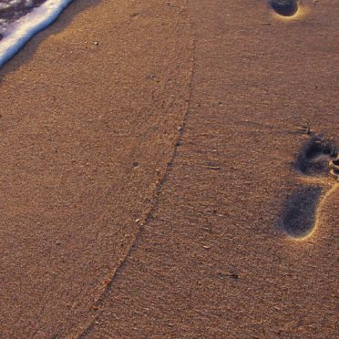 Landscape sand beach footprints iPhone6s / iPhone6 Wallpaper