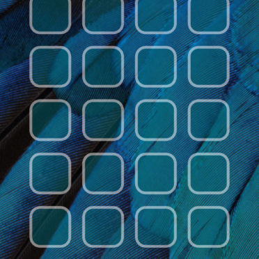 Feather blue green shelf cool iPhone6s / iPhone6 Wallpaper