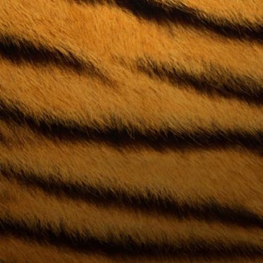 Pattern tiger iPhone6s / iPhone6 Wallpaper