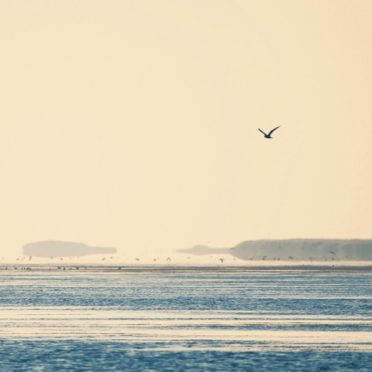 Air-sea landscape iPhone6s / iPhone6 Wallpaper