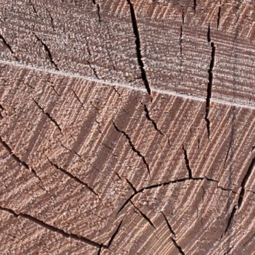 Kabekicha iPhone6s / iPhone6 Wallpaper