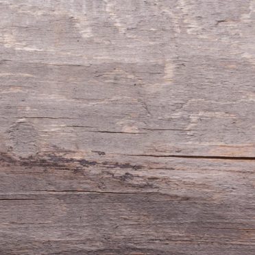 Kabekicha iPhone6s / iPhone6 Wallpaper