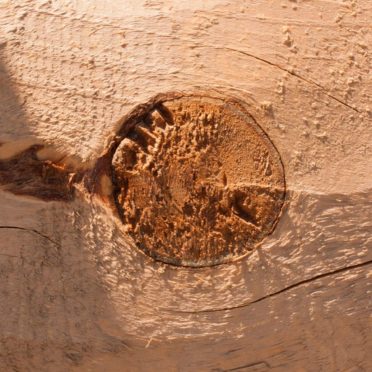 Kabekicha iPhone6s / iPhone6 Wallpaper