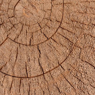 Kabekicha iPhone6s / iPhone6 Wallpaper