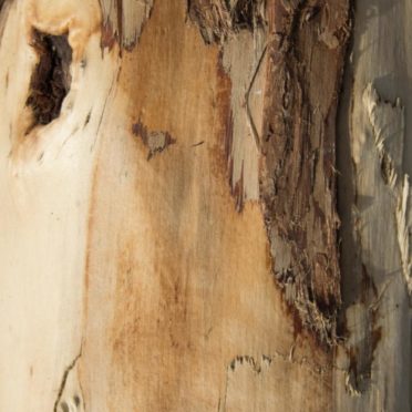 Kabekicha iPhone6s / iPhone6 Wallpaper