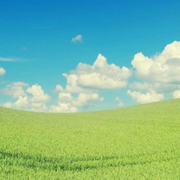 cloud  sky  green iPhone6s / iPhone6 Wallpaper
