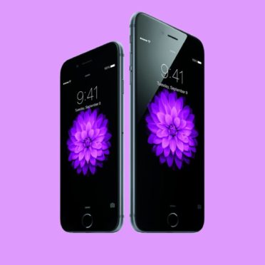 Purple iPhone6iPhone6PlusApple iPhone6s / iPhone6 Wallpaper