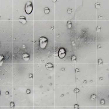 Water droplets window monochrome borders shelf iPhone6s / iPhone6 Wallpaper