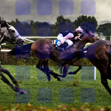Landscape horse racing  blue  shelf iPhone6s / iPhone6 Wallpaper