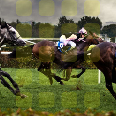 Landscape horse racing Ki shelf iPhone6s / iPhone6 Wallpaper