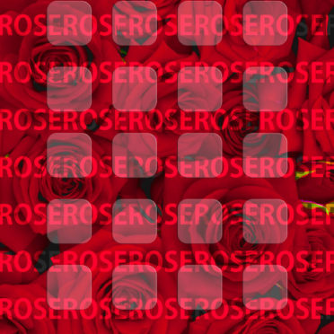 Rose red shelf Rose 3 iPhone6s / iPhone6 Wallpaper