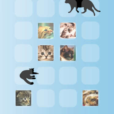 shelf  cat  blue iPhone6s / iPhone6 Wallpaper