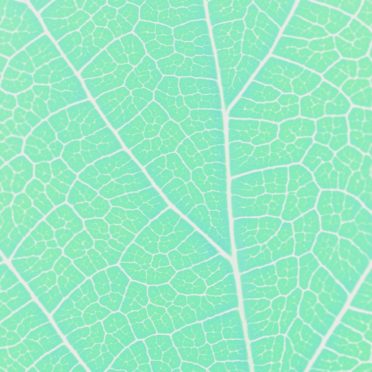 Pattern vein Blue green iPhone6s / iPhone6 Wallpaper
