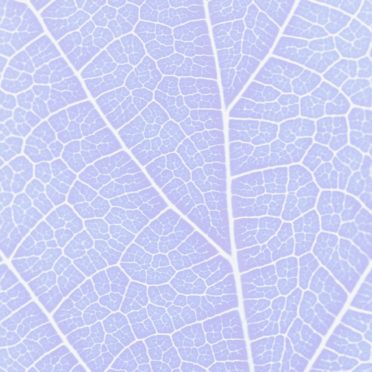 Pattern vein Blue purple iPhone6s / iPhone6 Wallpaper