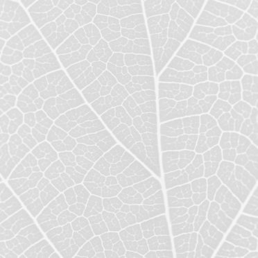 Pattern vein Gray iPhone6s / iPhone6 Wallpaper