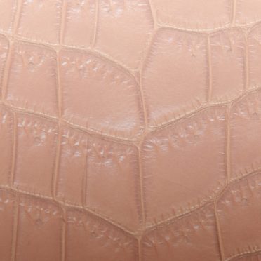 Leaf vein gradation Brown iPhone6s / iPhone6 Wallpaper