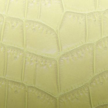 Leaf vein gradation yellow iPhone6s / iPhone6 Wallpaper