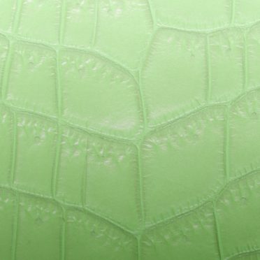 Leaf vein gradation Yellow green iPhone6s / iPhone6 Wallpaper