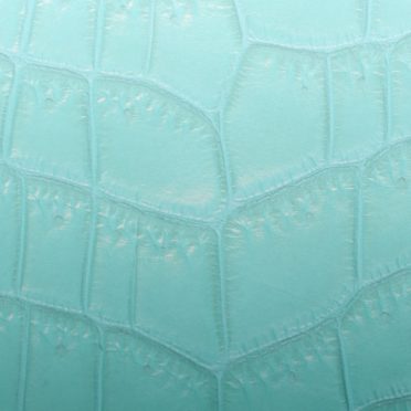 Leaf vein gradation light blue iPhone6s / iPhone6 Wallpaper